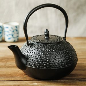 SUTEAS Japanese Tetsubin Tea Kettle